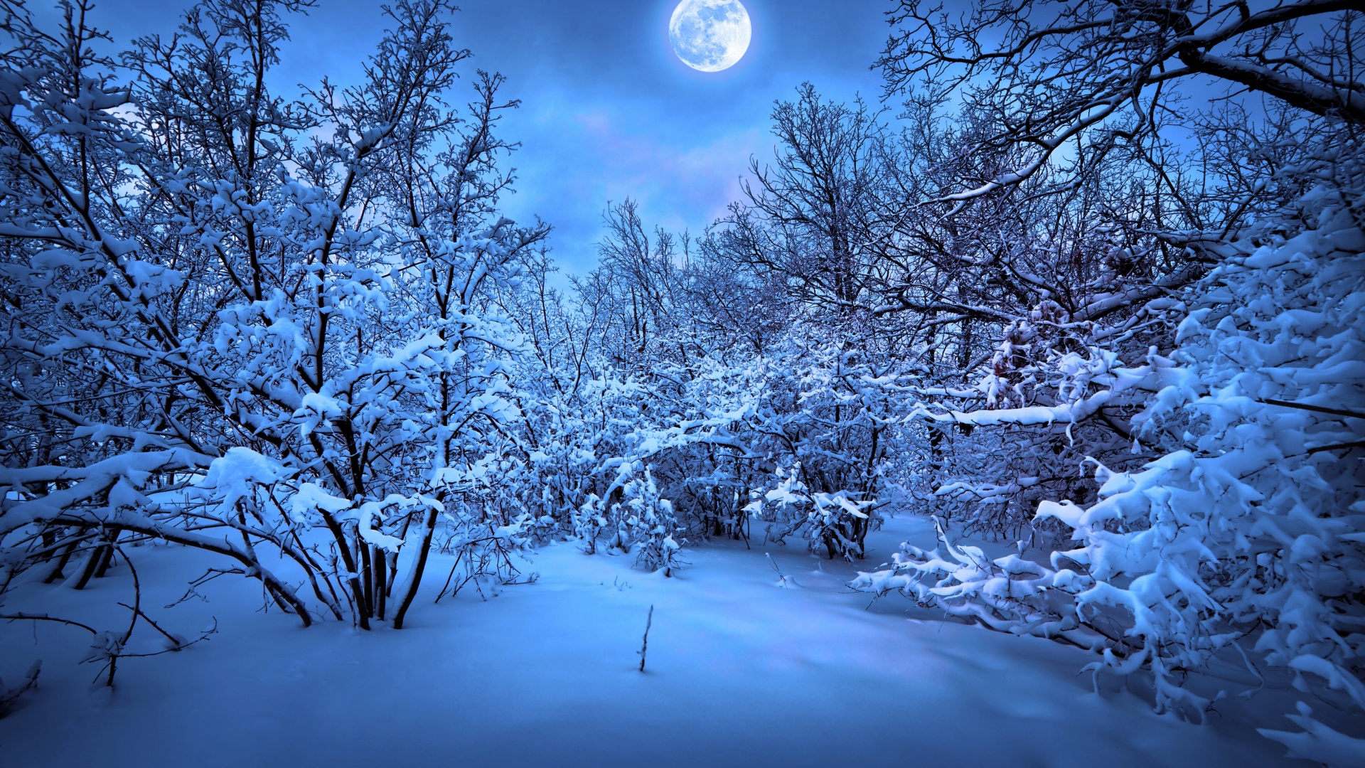 Moonlight On The Snowy Woods