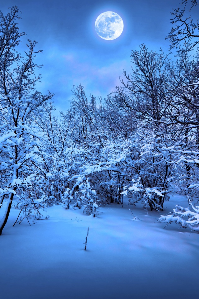 Moonlight On The Snowy Woods