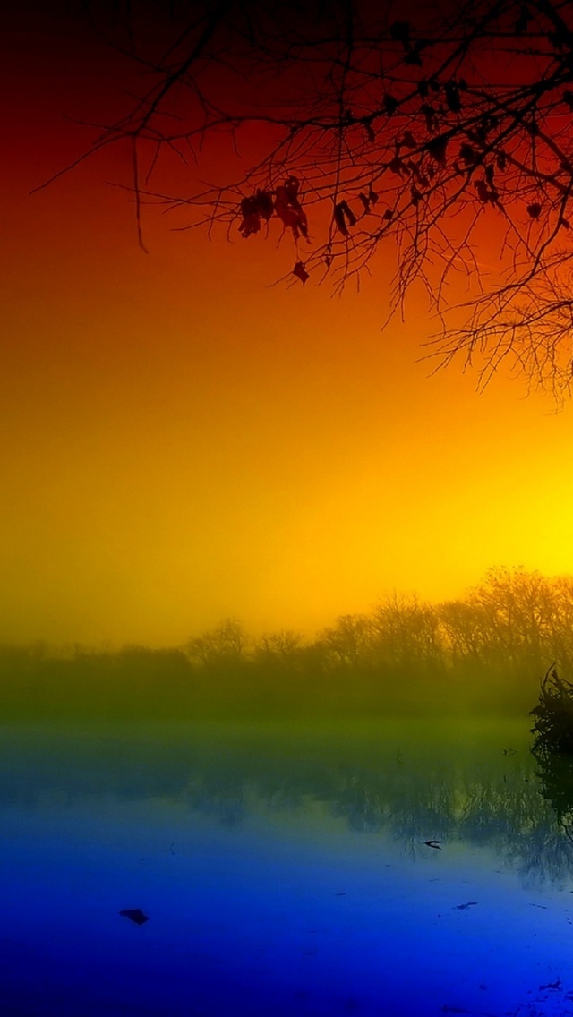 Morning Fog Sunrise