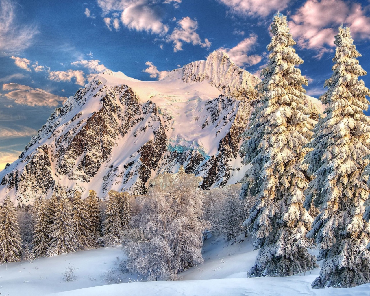Mountain Forest Snow Winter