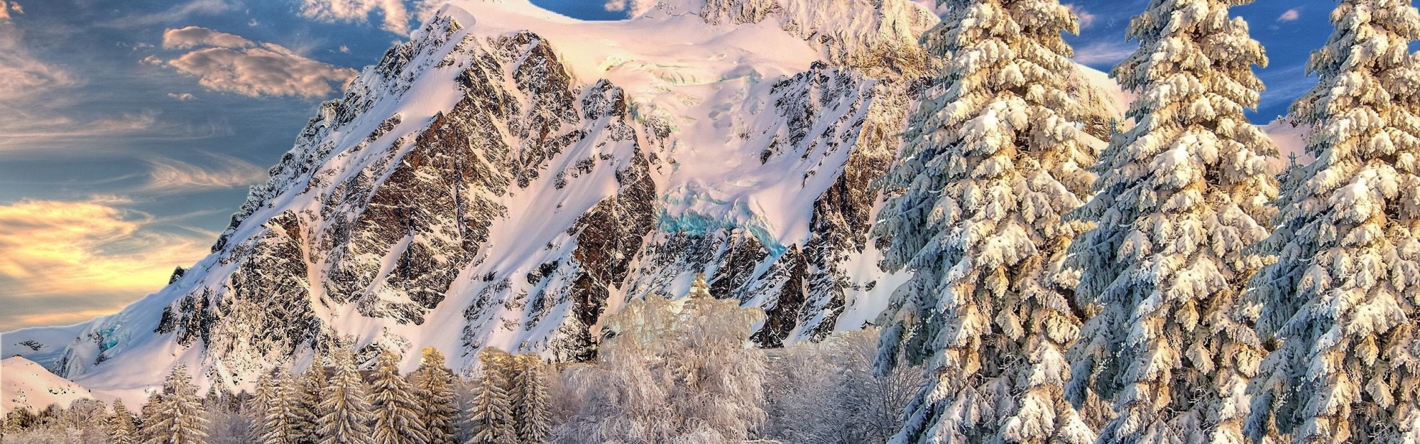 Mountain Forest Snow Winter