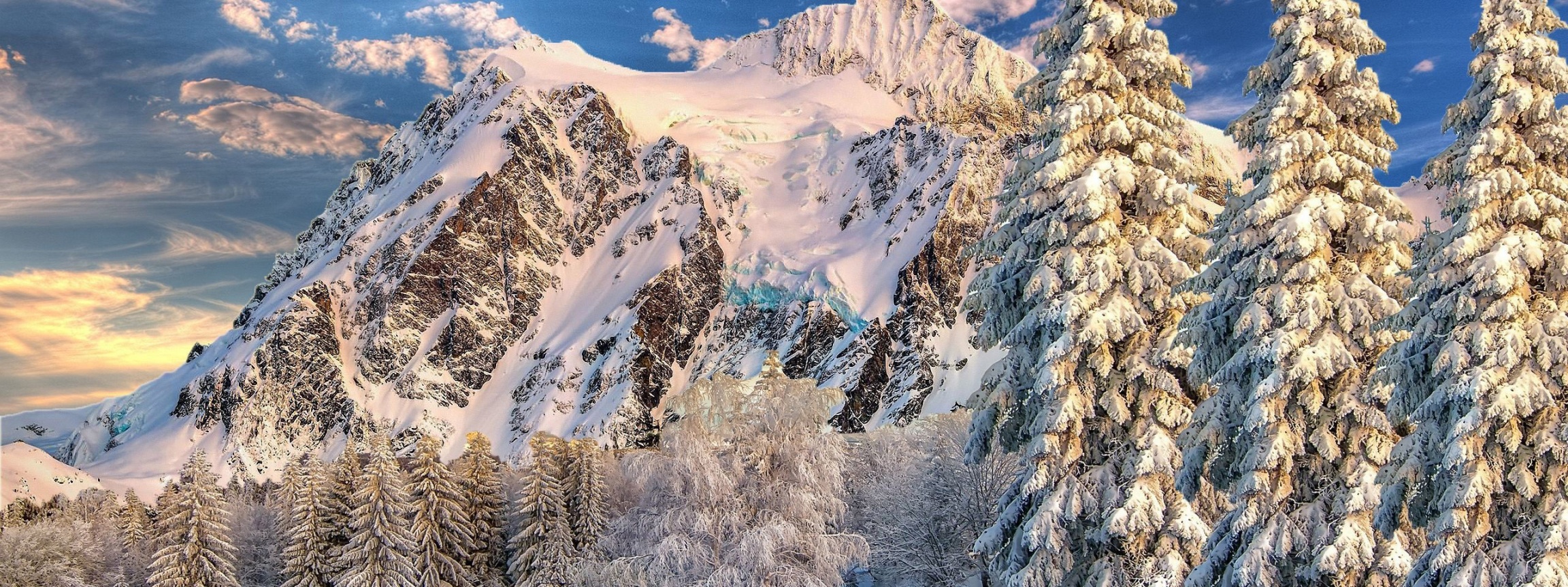 Mountain Forest Snow Winter