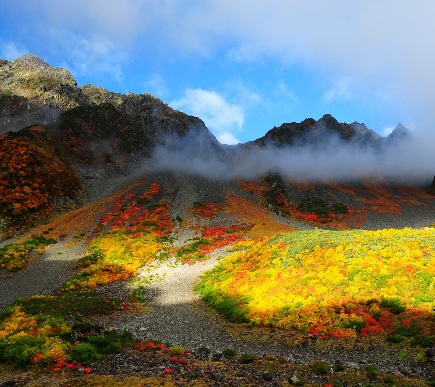 Mountains Autumn Scenery