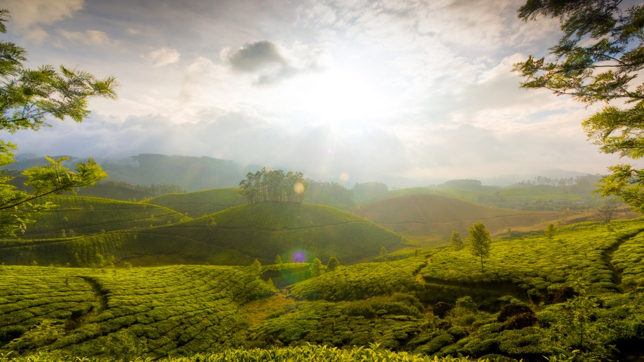 Munnar Hill Station Kerala India