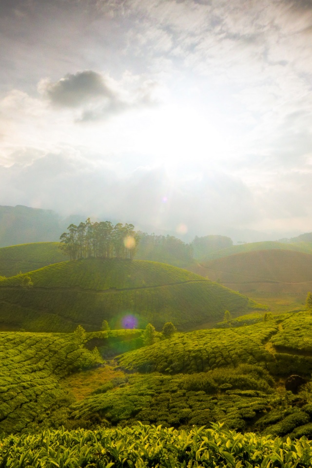 Munnar Hill Station Kerala India