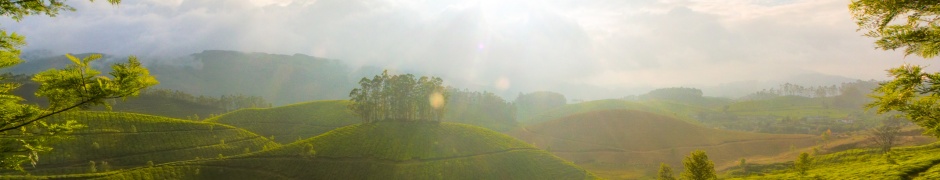 Munnar Hill Station Kerala India