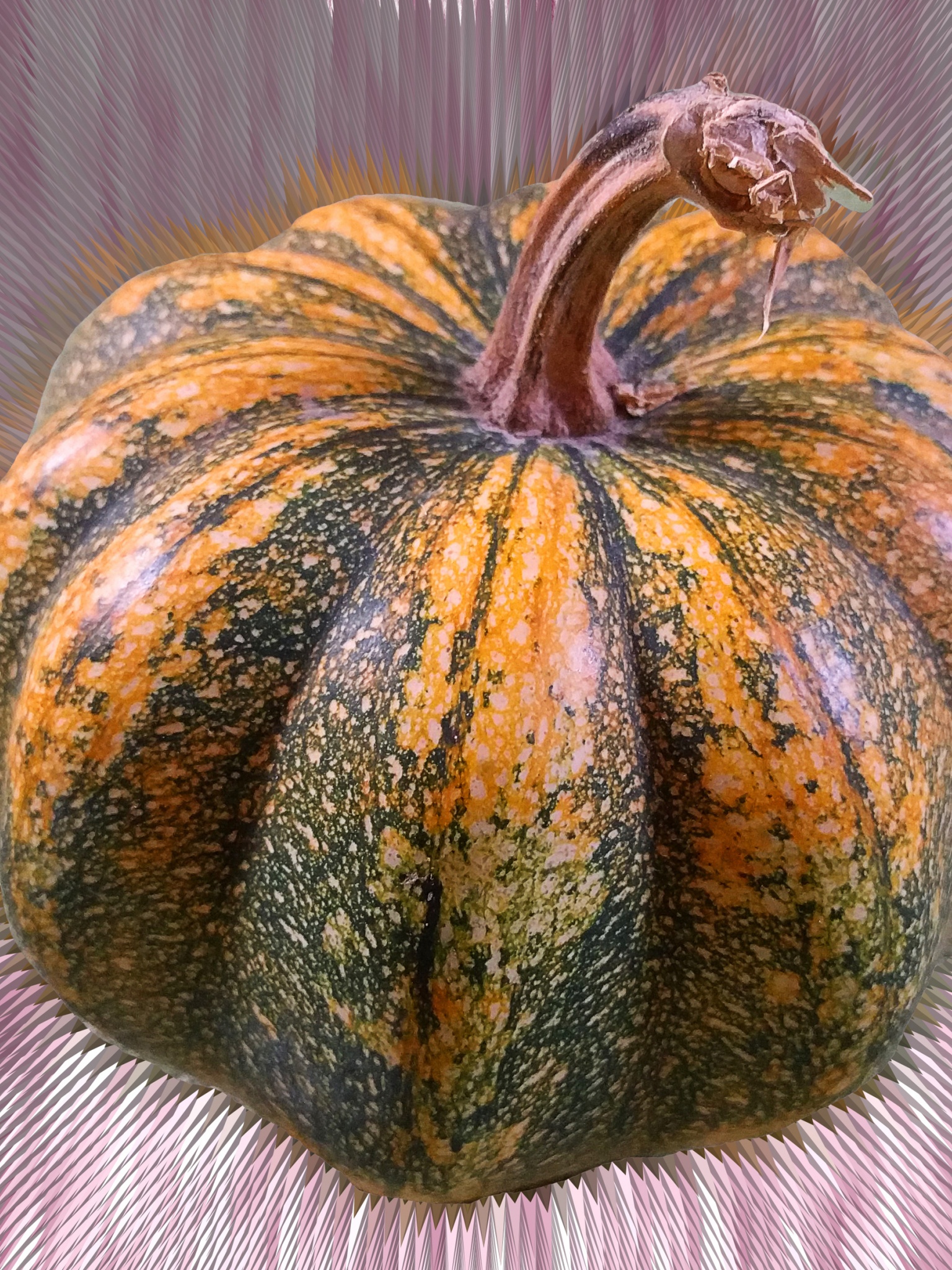 Mutated Pumpkin