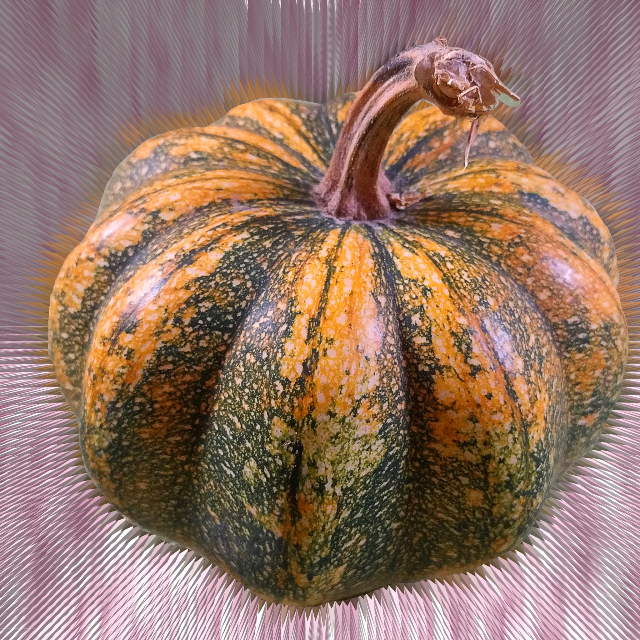 Mutated Pumpkin