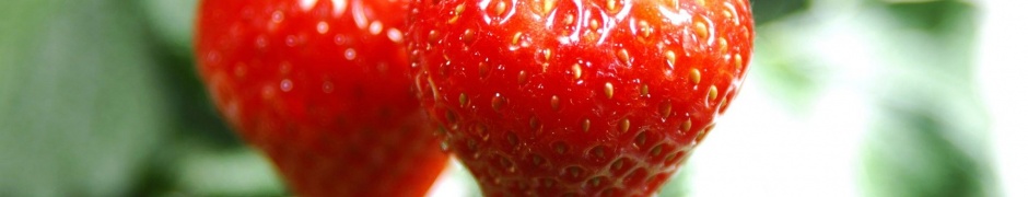 Nature Food Hanging Strawberries