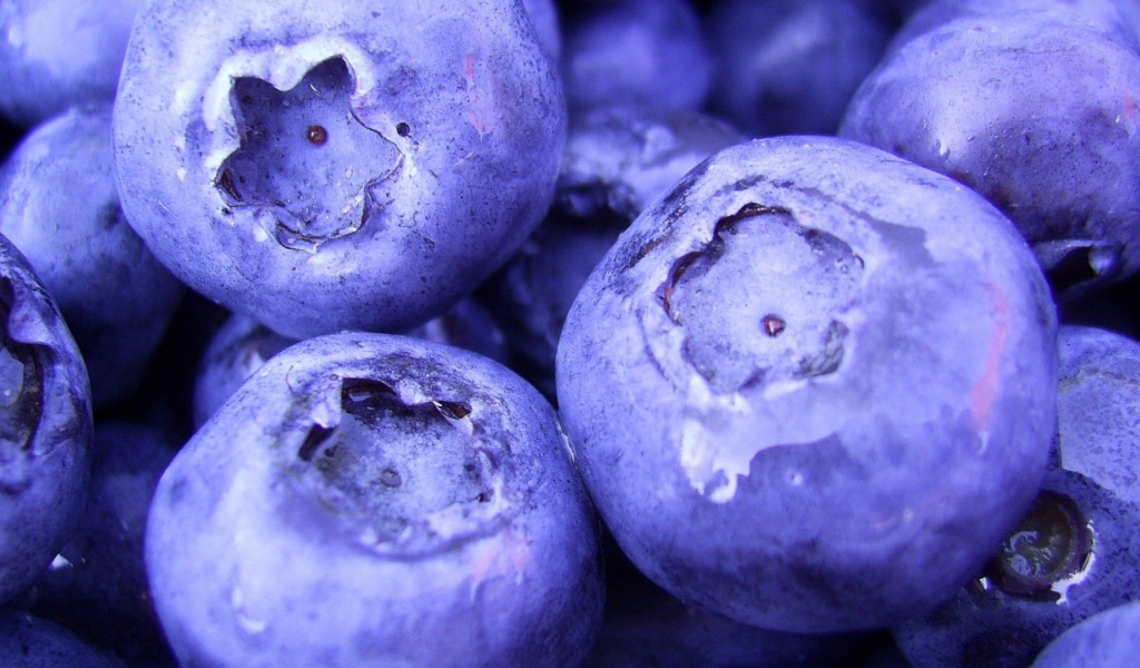 Nature Fruits Food Plants Macro Berries Blueberries