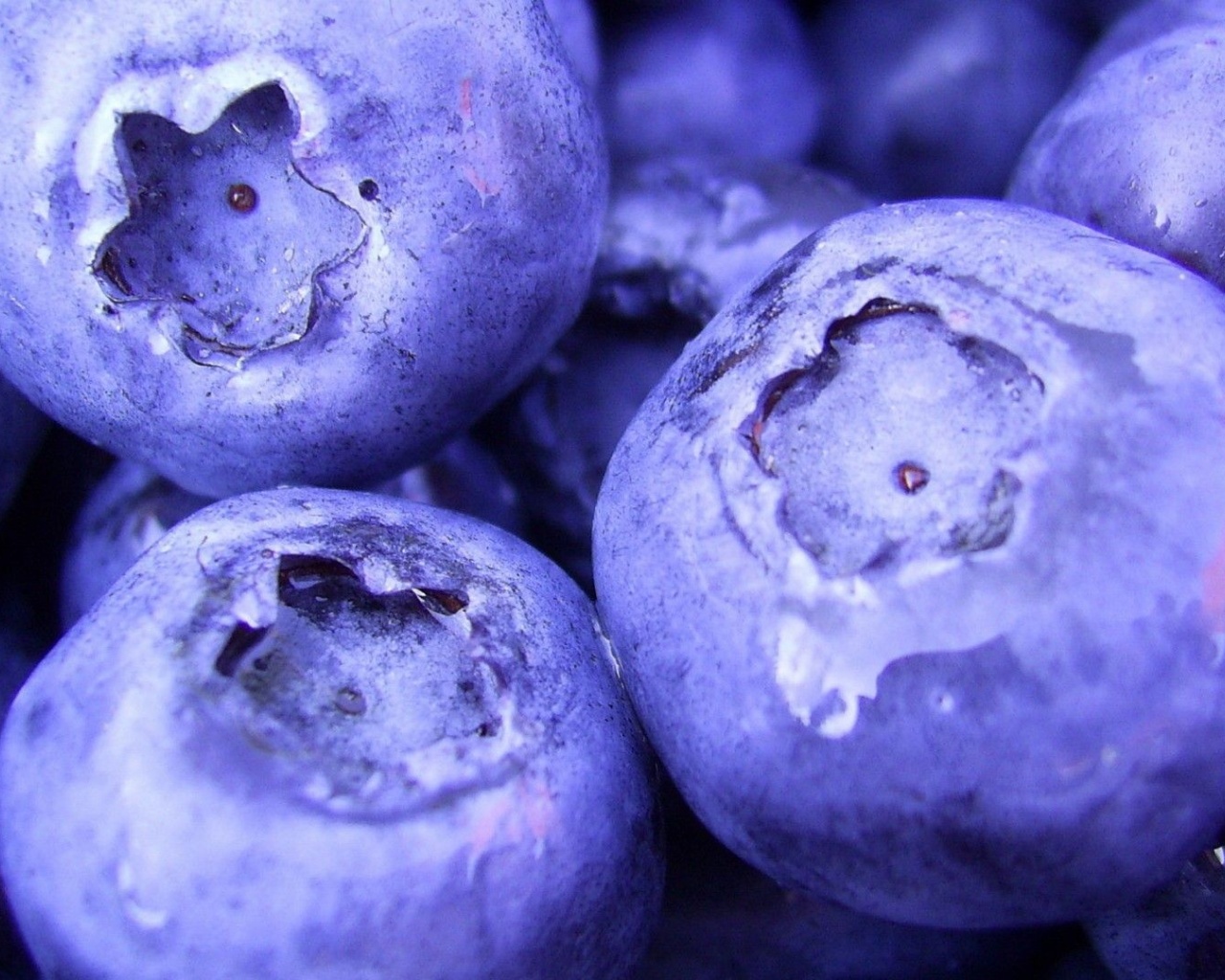 Nature Fruits Food Plants Macro Berries Blueberries