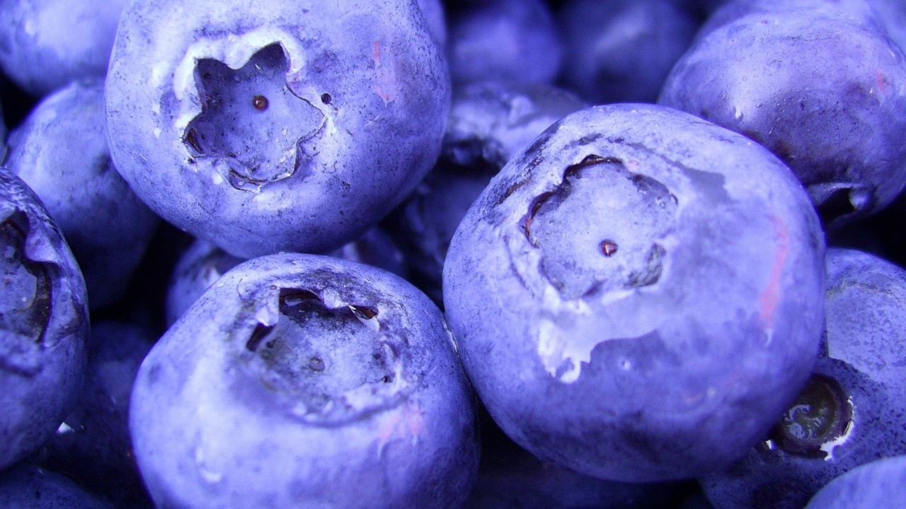 Nature Fruits Food Plants Macro Berries Blueberries