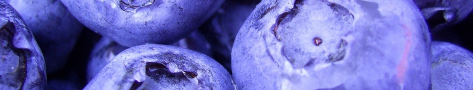 Nature Fruits Food Plants Macro Berries Blueberries