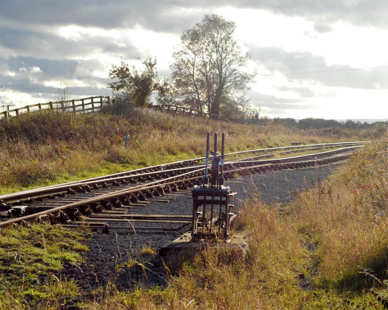 Nature Landscape Railway Lawn