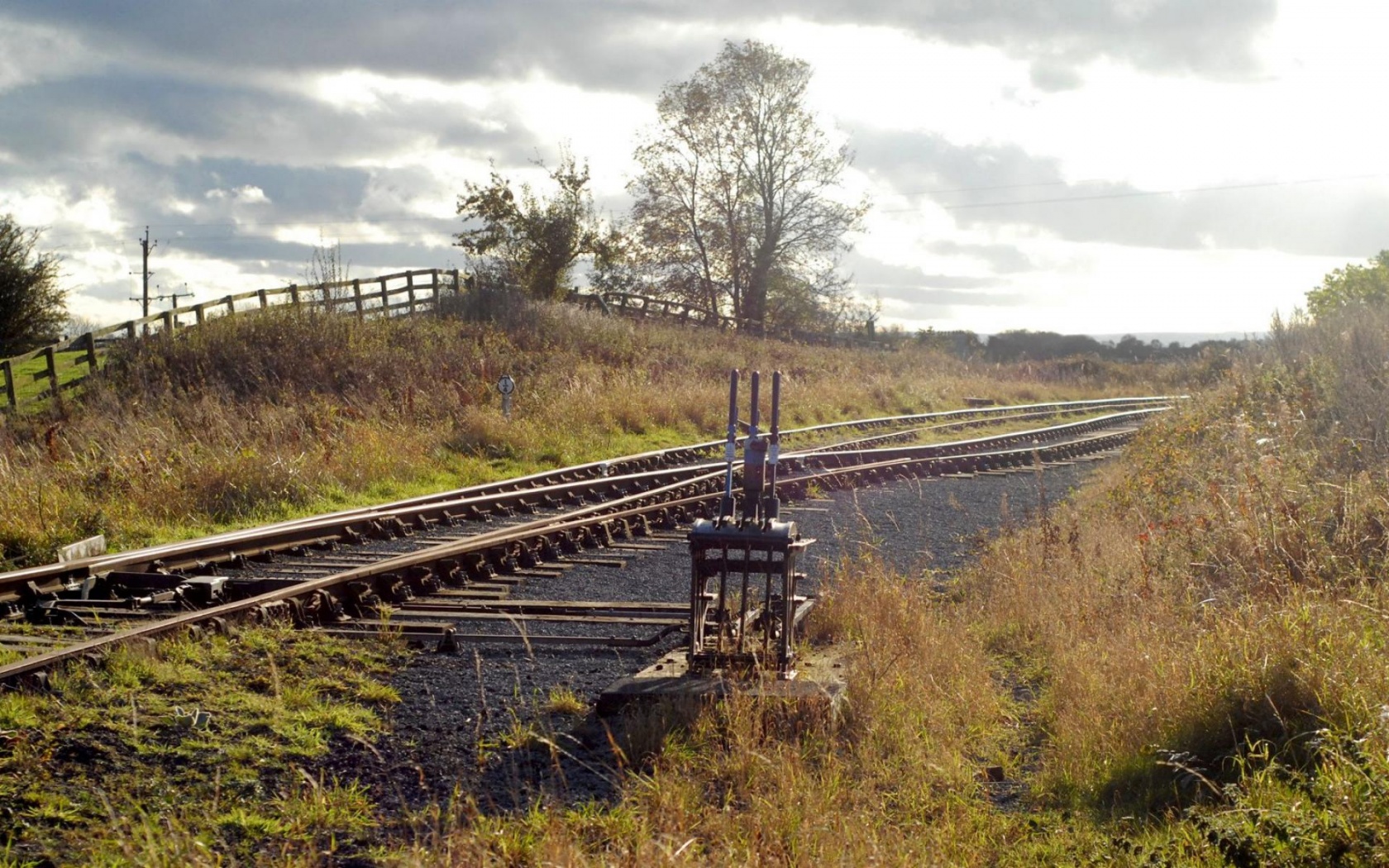 Nature Landscape Railway Lawn