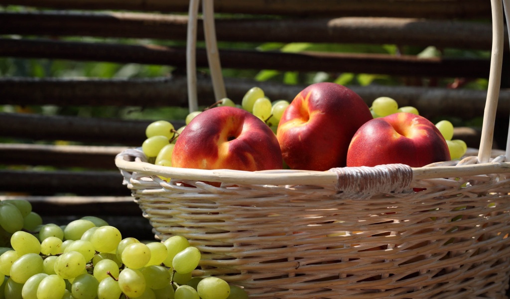 Nectarines And Grapes