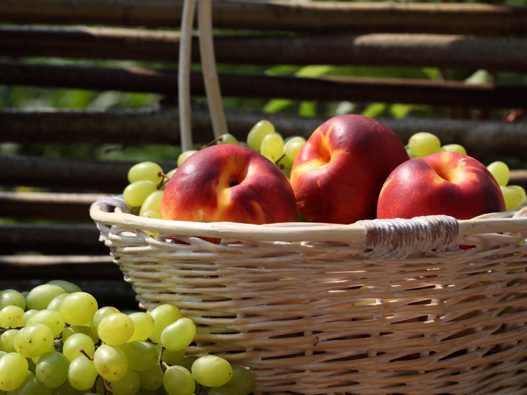 Nectarines And Grapes