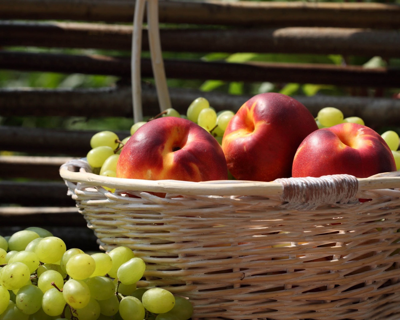 Nectarines And Grapes