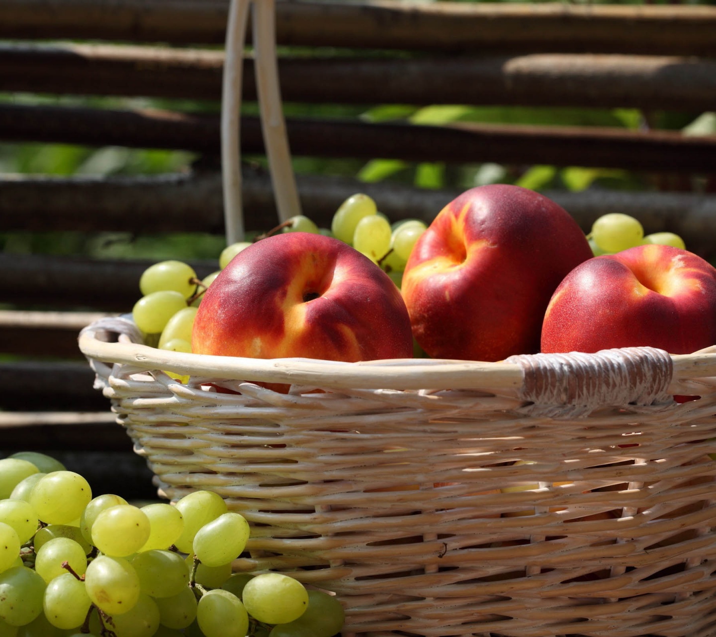 Nectarines And Grapes