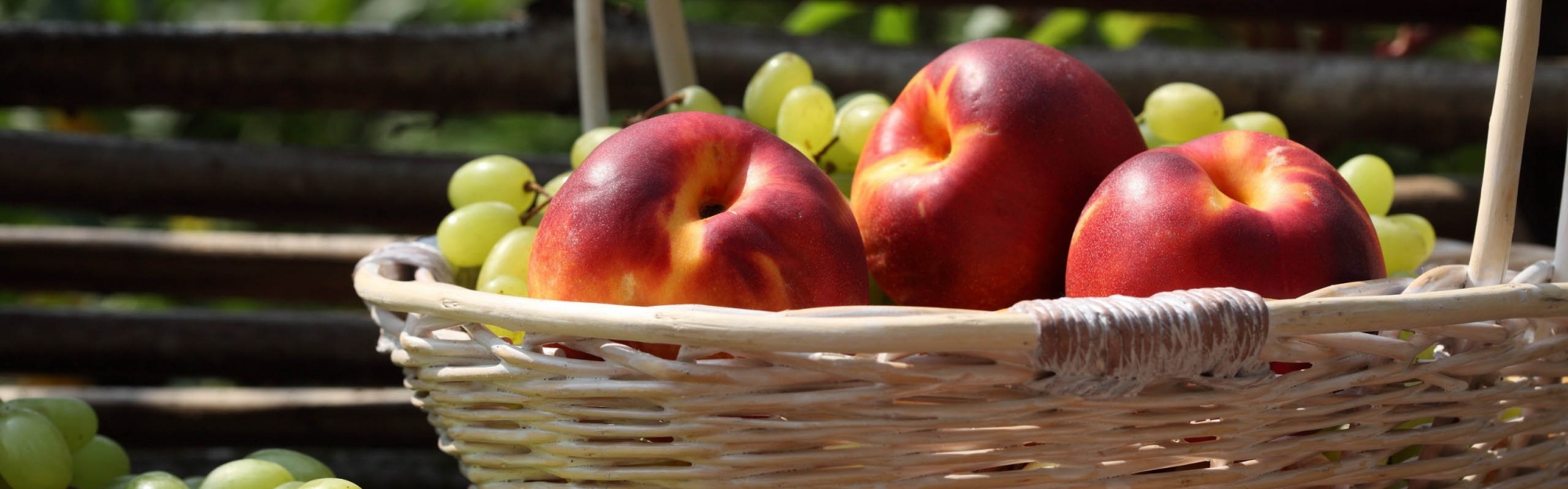 Nectarines And Grapes