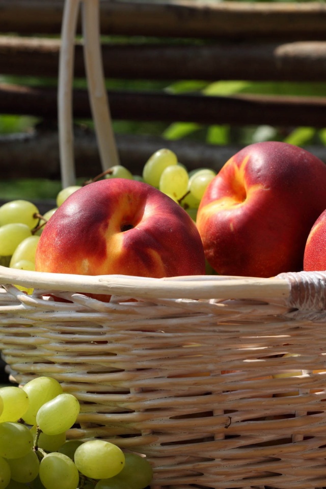 Nectarines And Grapes