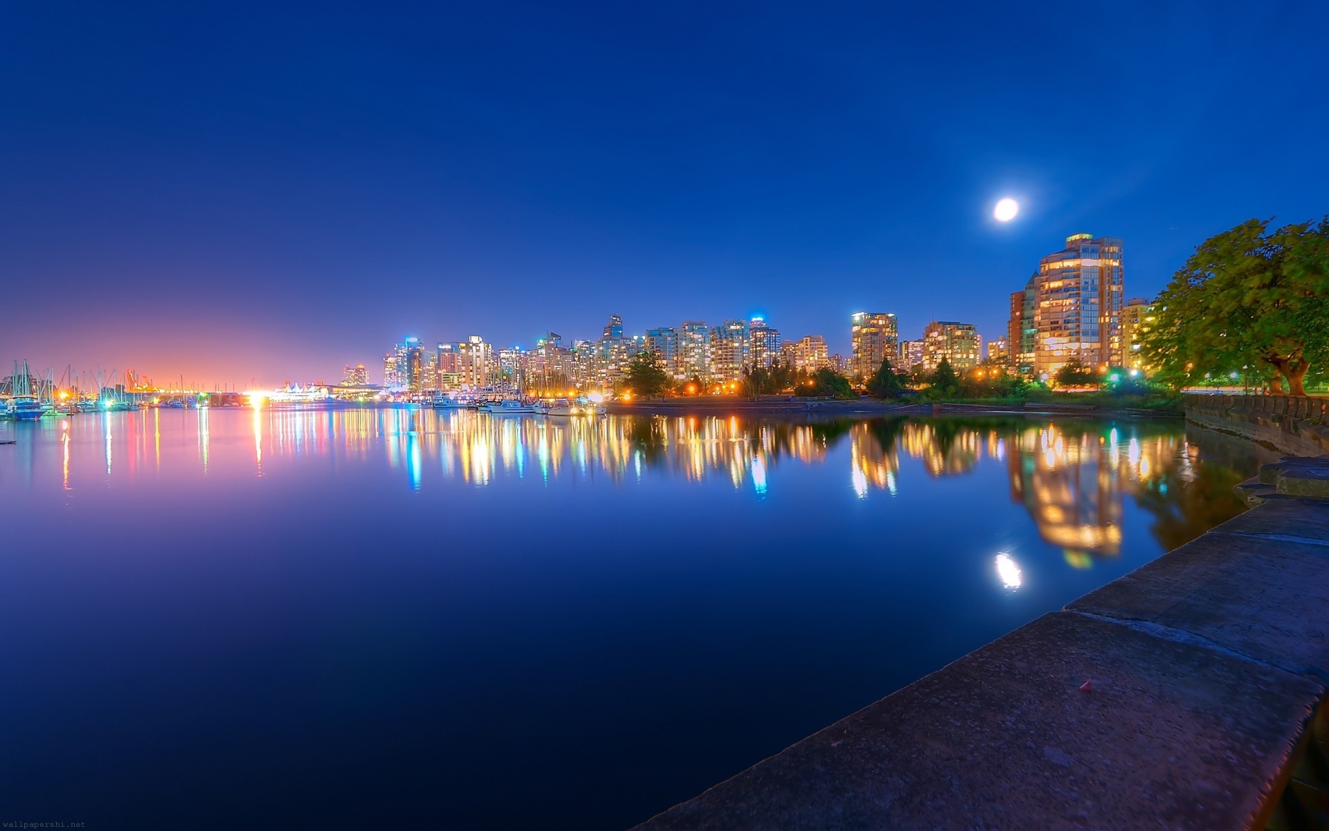 Night Light River Trees City Landscape