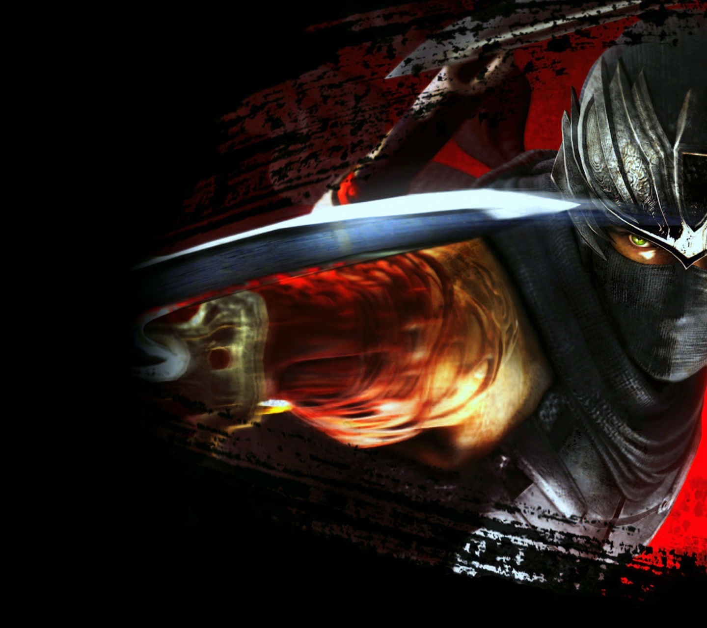 Ninja Gaiden 3