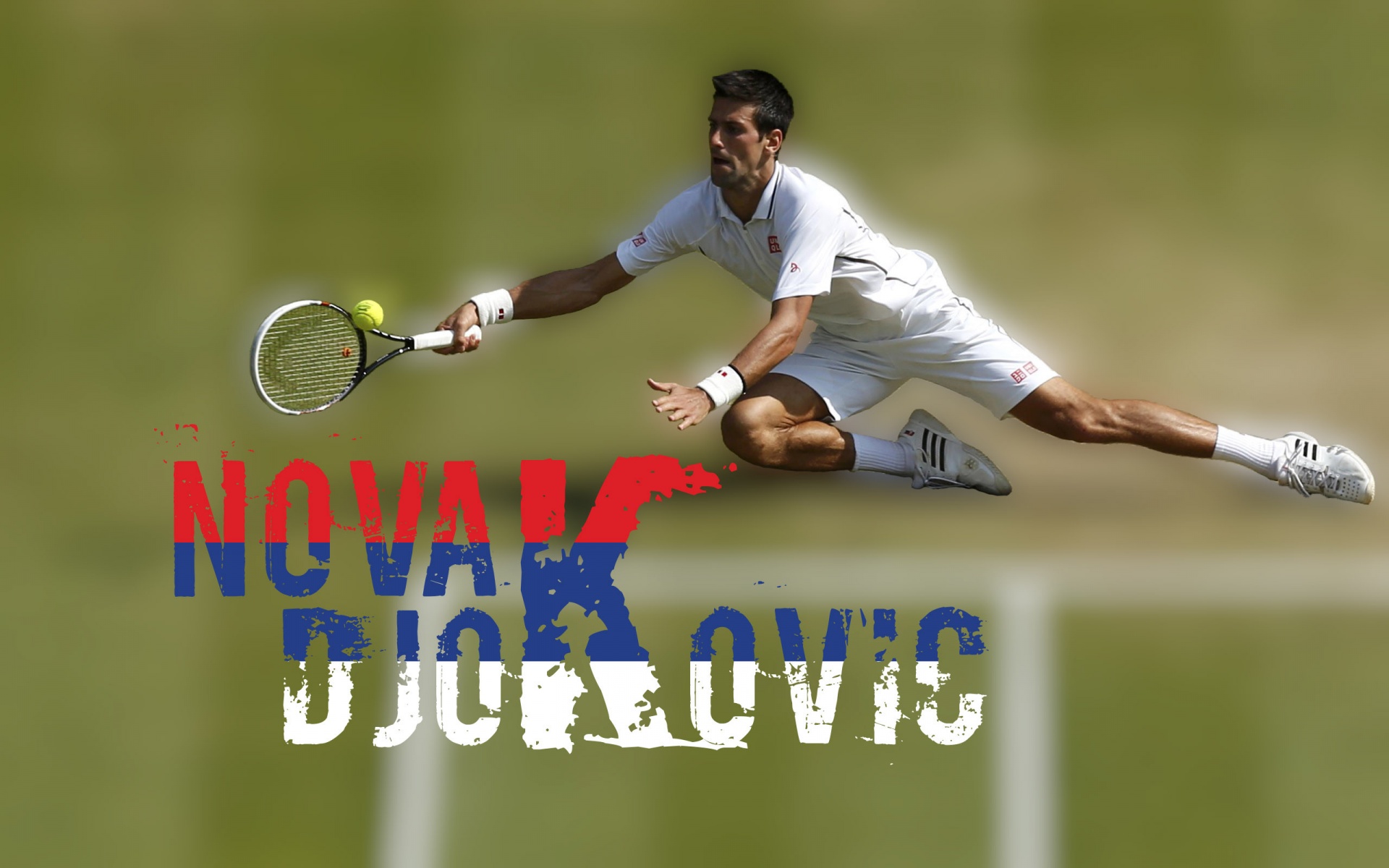 Novak Djokovic 2014 Wimbledon