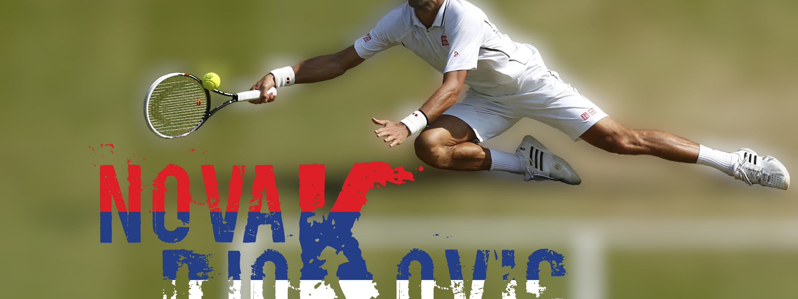 Novak Djokovic 2014 Wimbledon