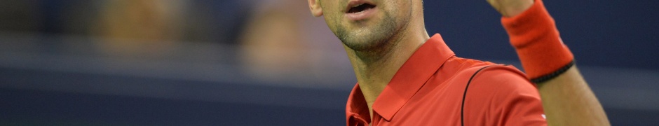 Novak Djokovic Tennis Player