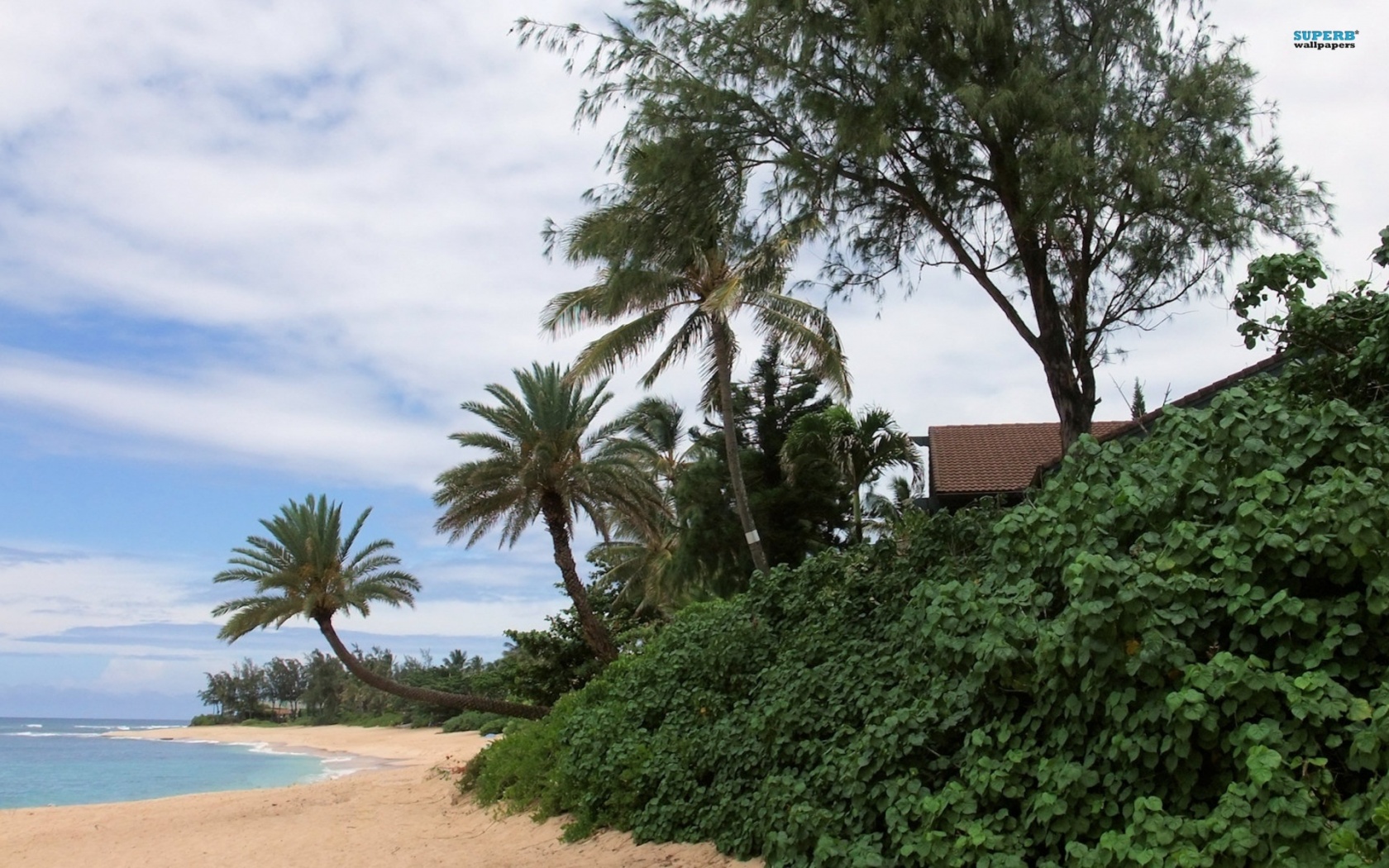 Oahu Beach Nature Landscapes