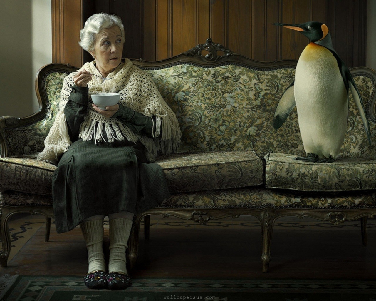 Old Animals Funny Pinguin