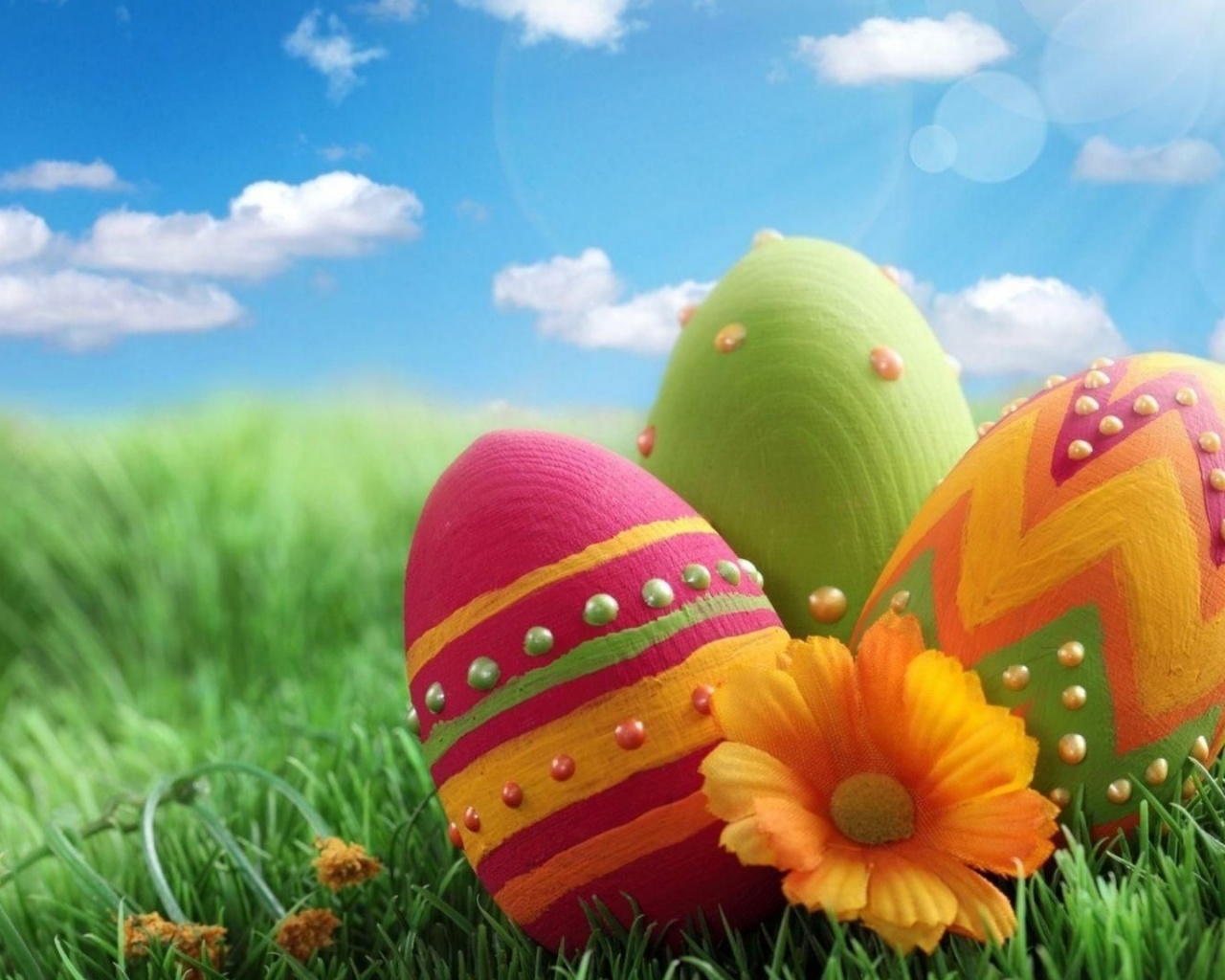 Pascha Eggs Patterns Flowers Sky Meadow Grass Close Up