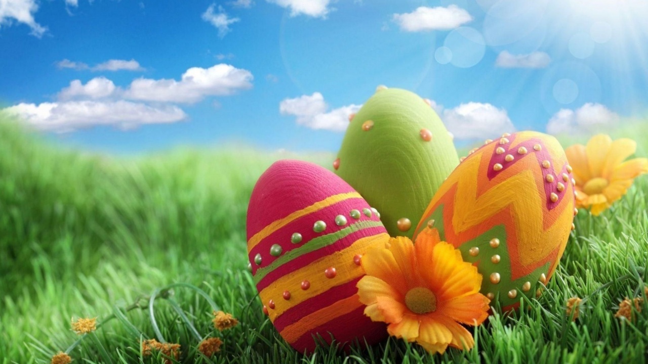 Pascha Eggs Patterns Flowers Sky Meadow Grass Close Up