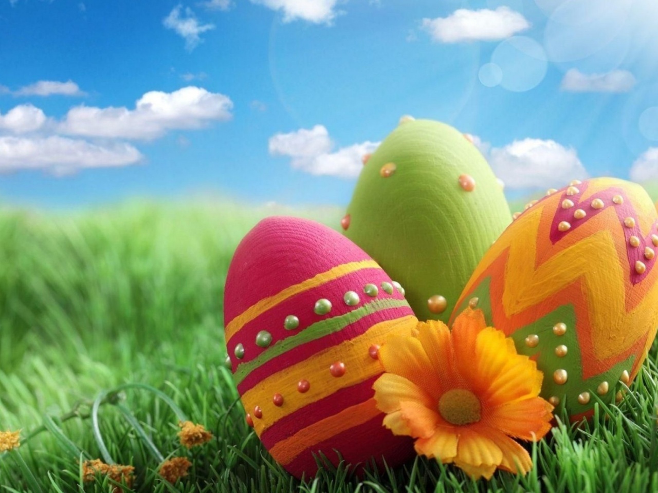 Pascha Eggs Patterns Flowers Sky Meadow Grass Close Up