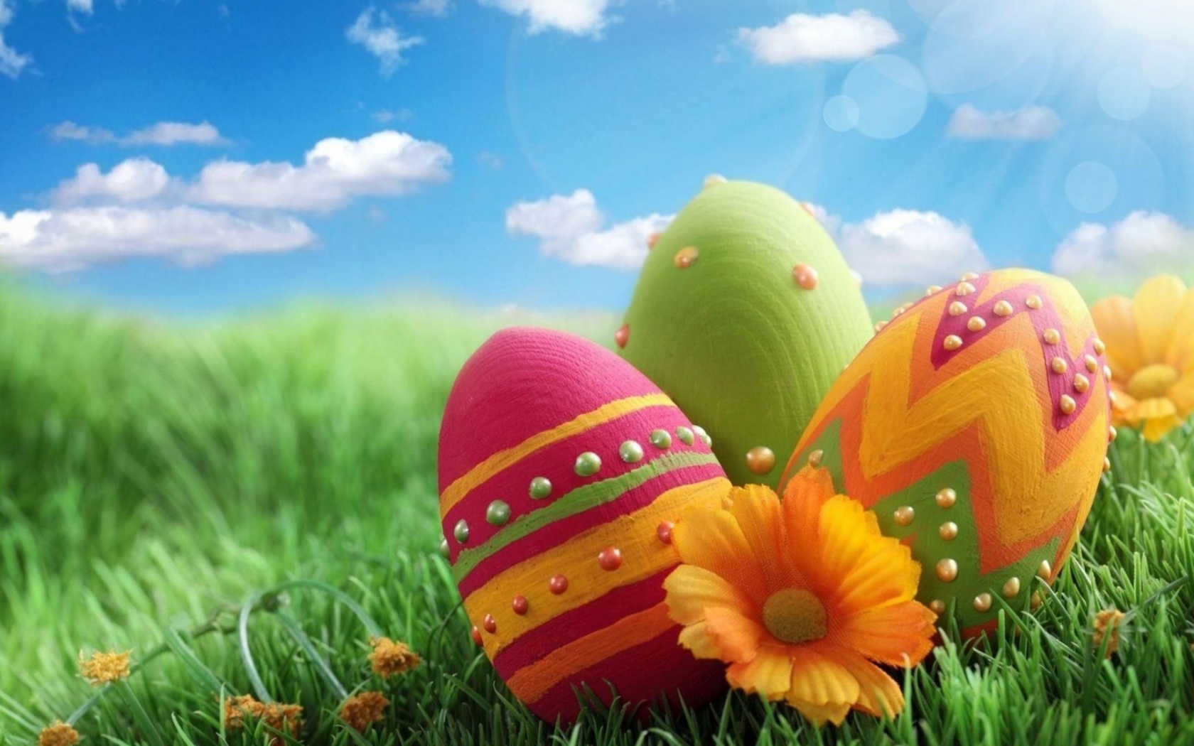 Pascha Eggs Patterns Flowers Sky Meadow Grass Close Up