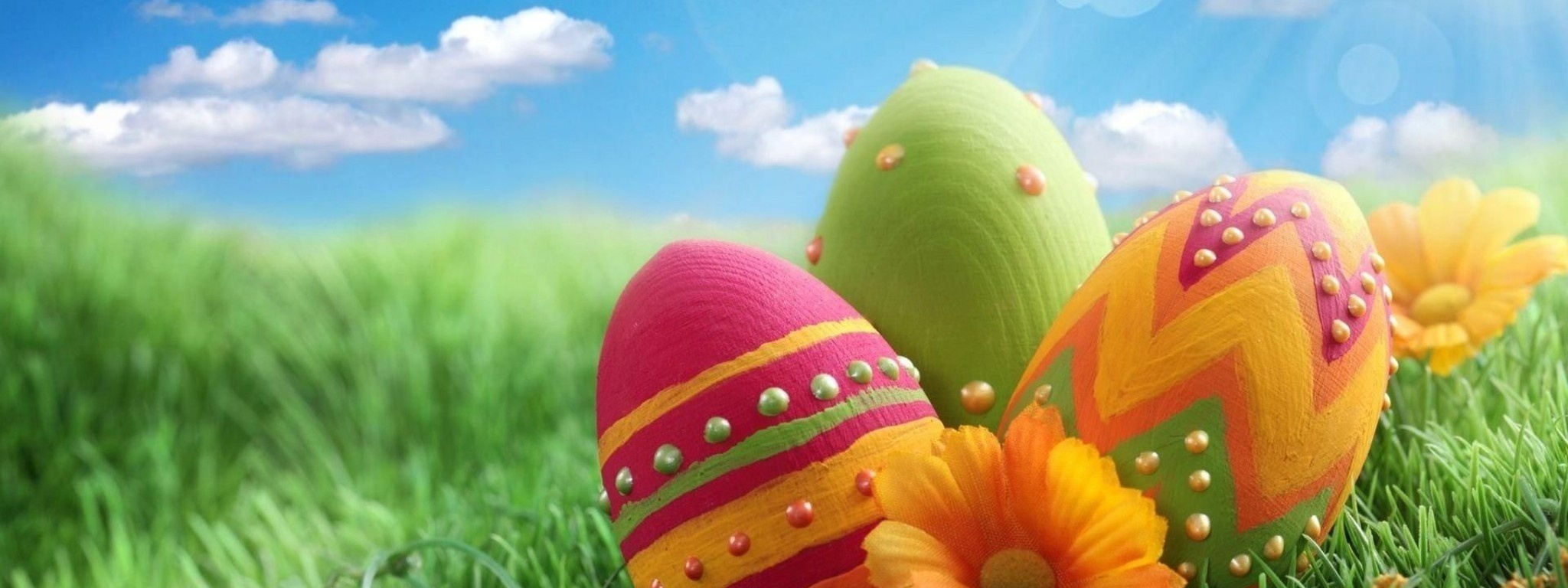 Pascha Eggs Patterns Flowers Sky Meadow Grass Close Up