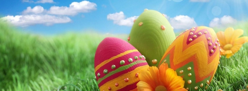 Pascha Eggs Patterns Flowers Sky Meadow Grass Close Up