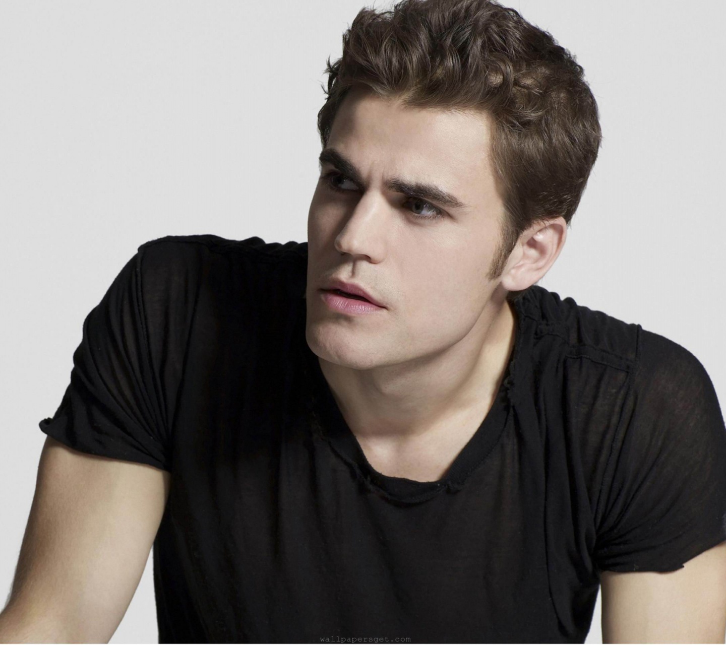 Paul Wesley Usa Actor Handsome Appearance Melancholy Temperament Men