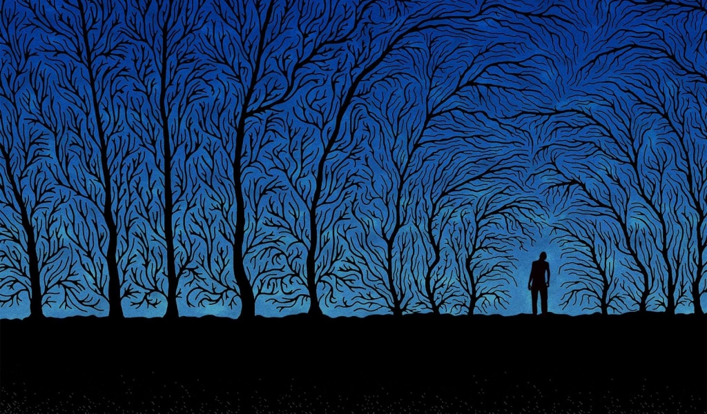 Person And Trees