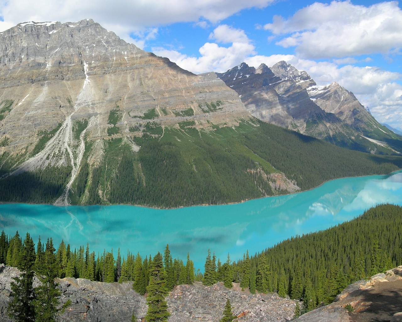 Peyto Lake In Banff N. Park (Canada)