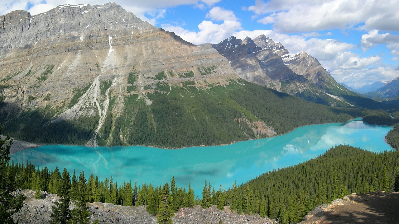 Peyto Lake In Banff N. Park (Canada)