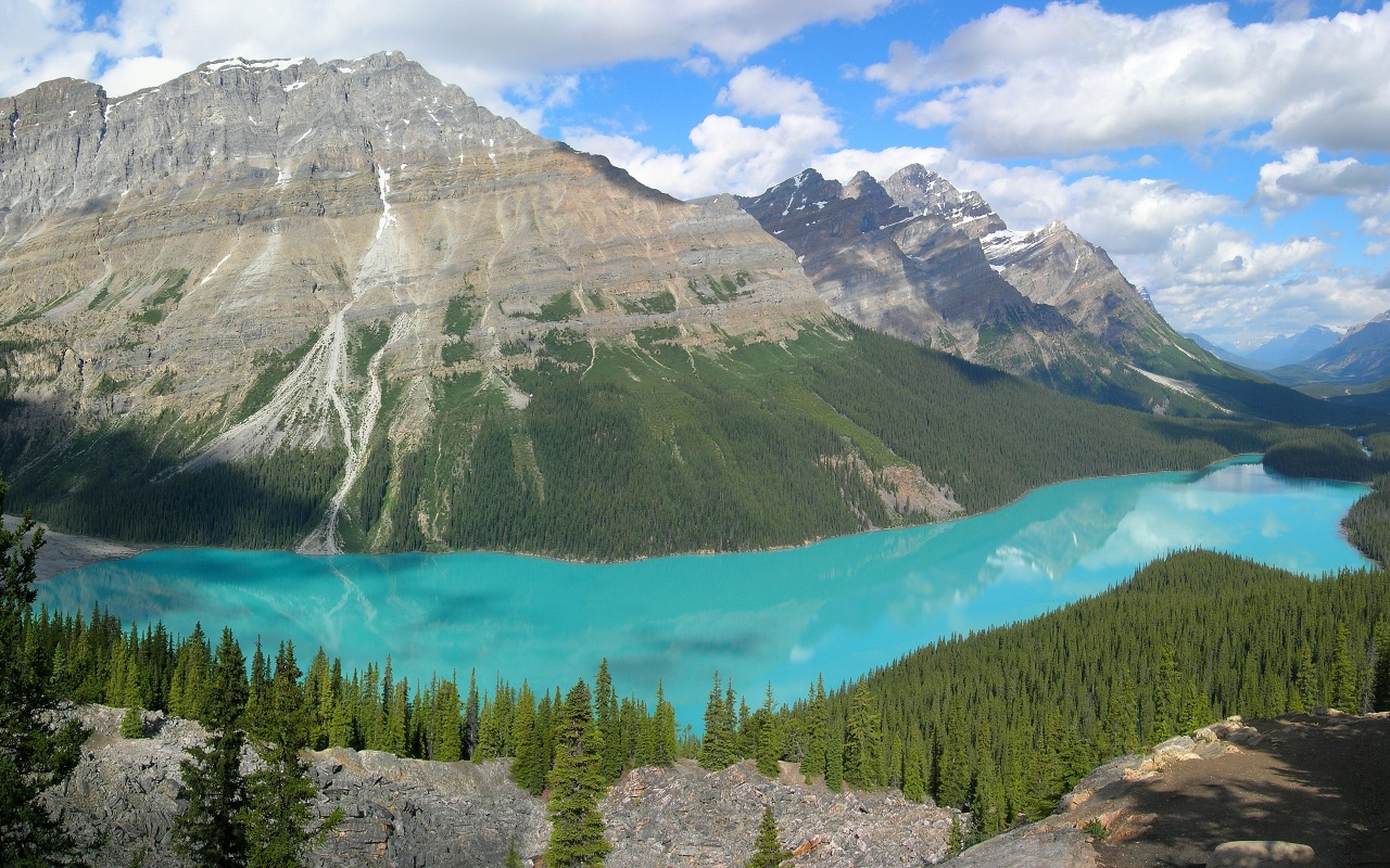 Peyto Lake In Banff N. Park (Canada)