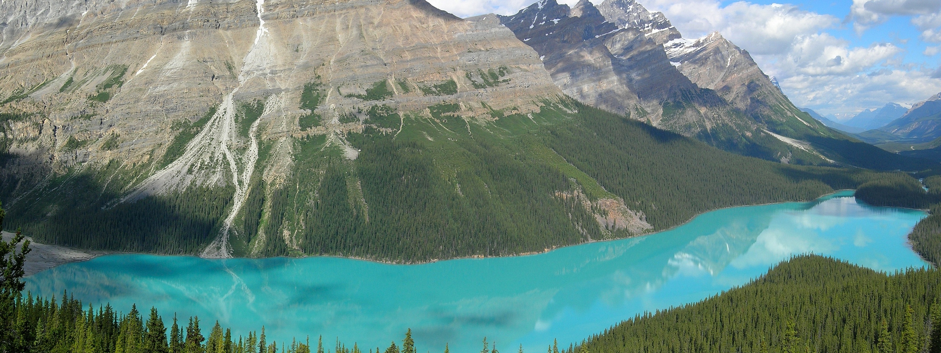 Peyto Lake In Banff N. Park (Canada)