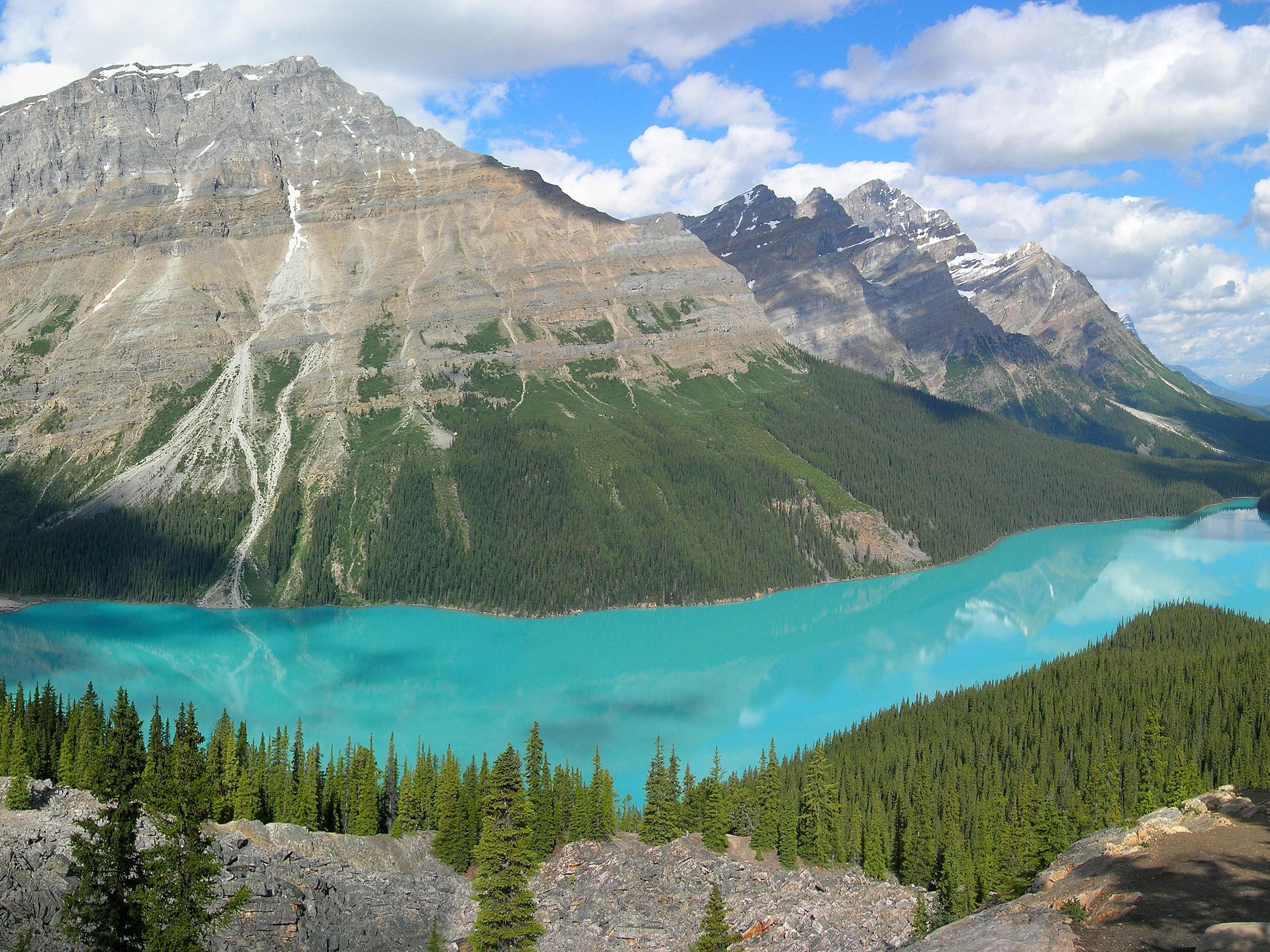 Peyto Lake In Banff N. Park (Canada)