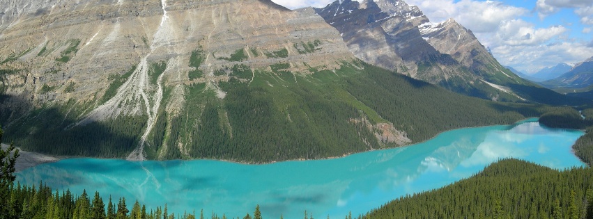 Peyto Lake In Banff N. Park (Canada)