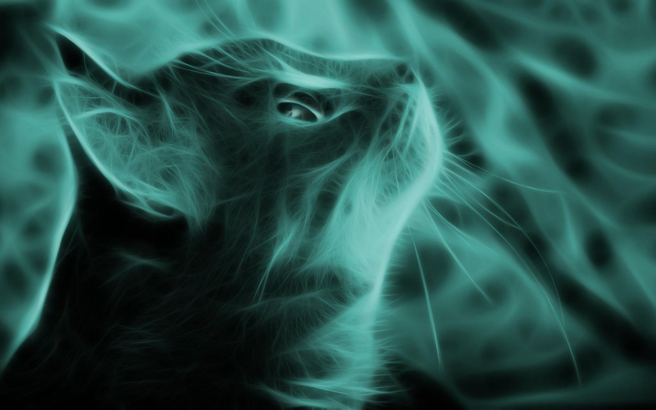 Photo Manipulation Cat