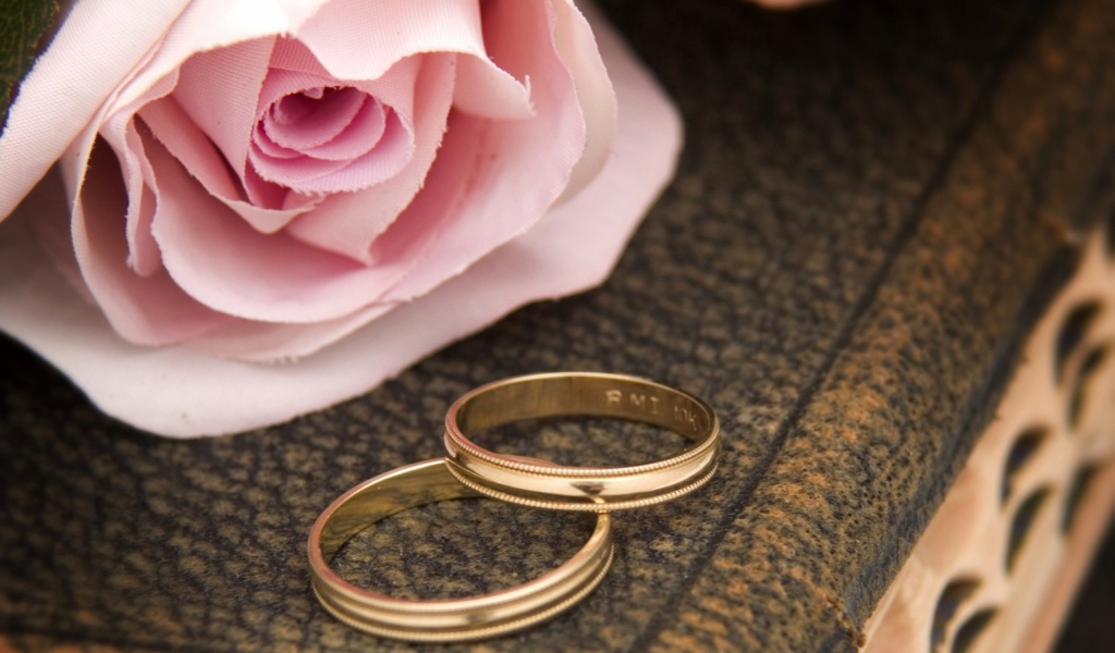 Pink Rose And Two Wedding Rings