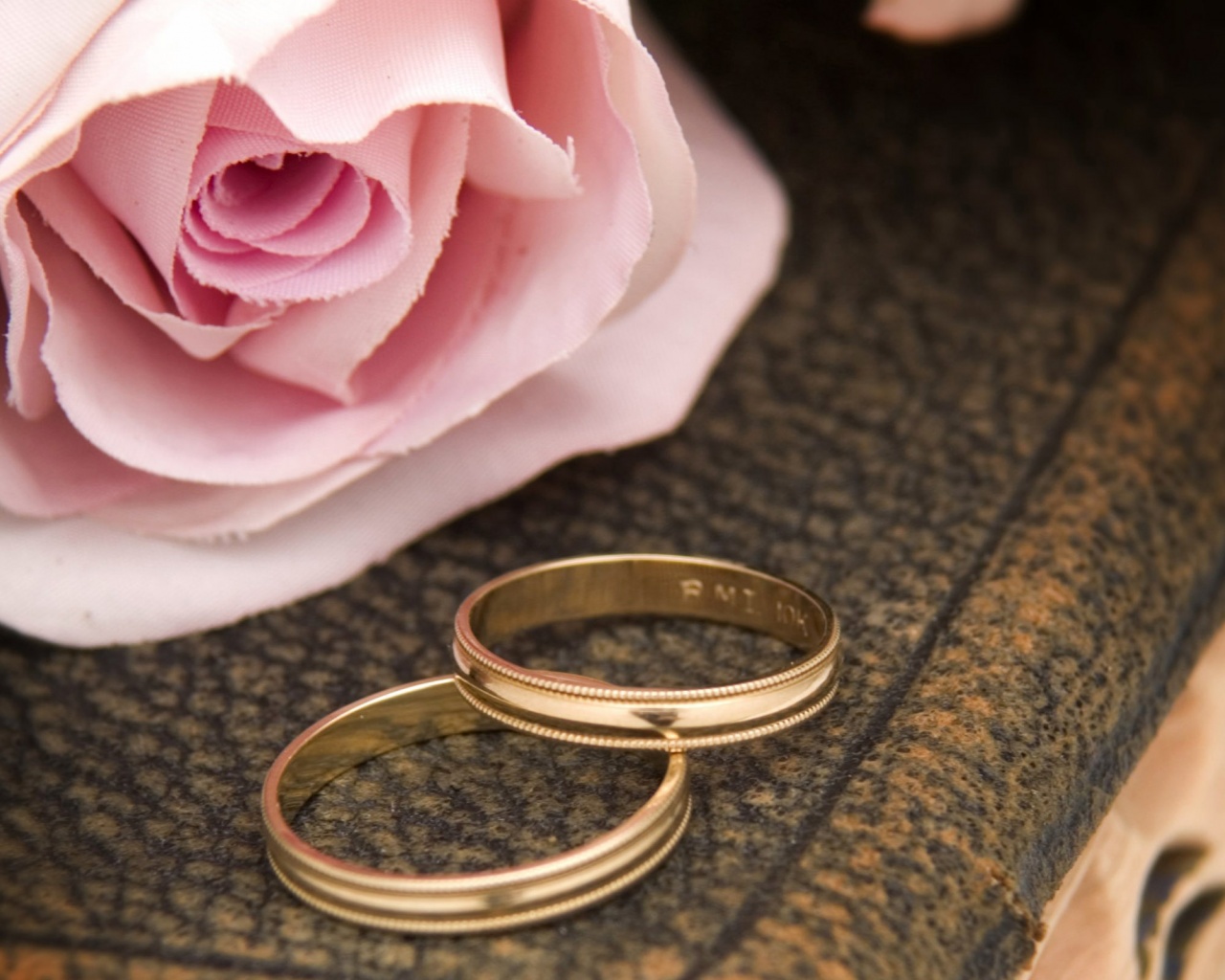 Pink Rose And Two Wedding Rings