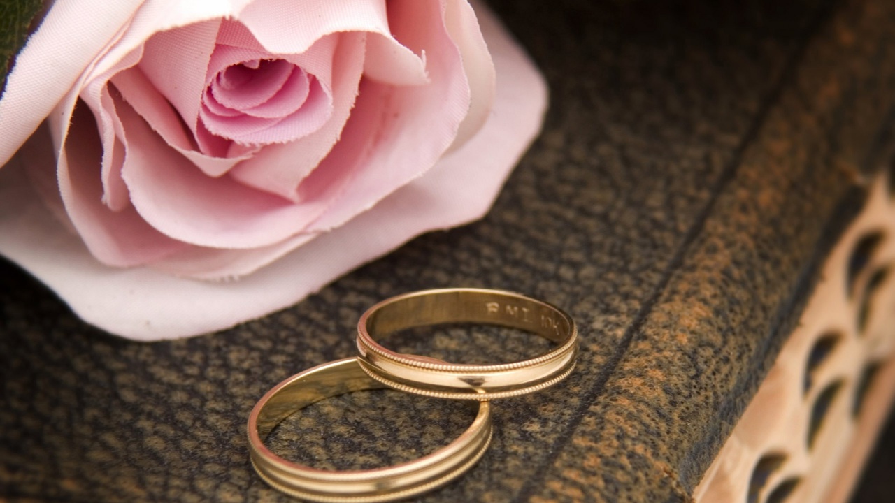 Pink Rose And Two Wedding Rings